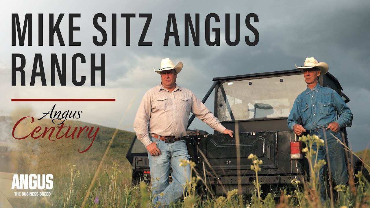 Mike Sitz Angus Ranch was awarded the Angus Century award in 2023.
