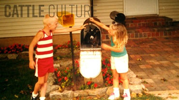 0425-cattleculture16x9