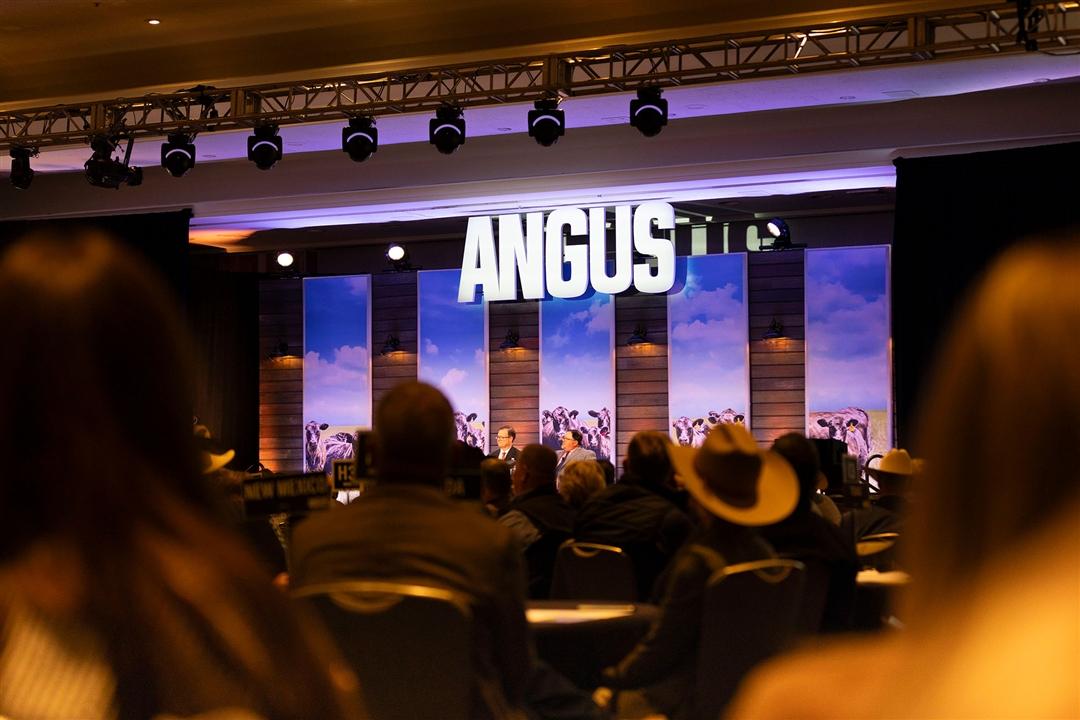 Attendees look towards the stage at the Annual Angus Convention. 
