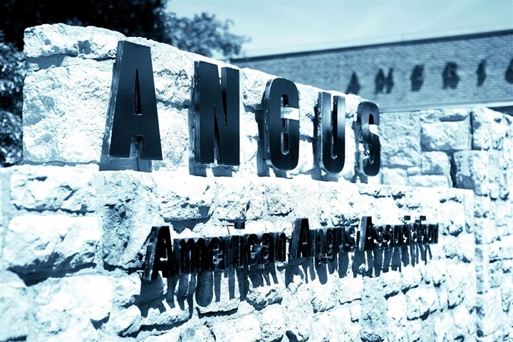 A limestone sign at the American Angus Association.