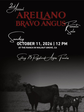 Arellano Bravo Cover
