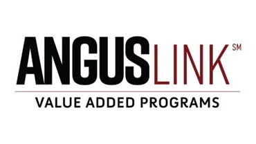 AngusLink logo