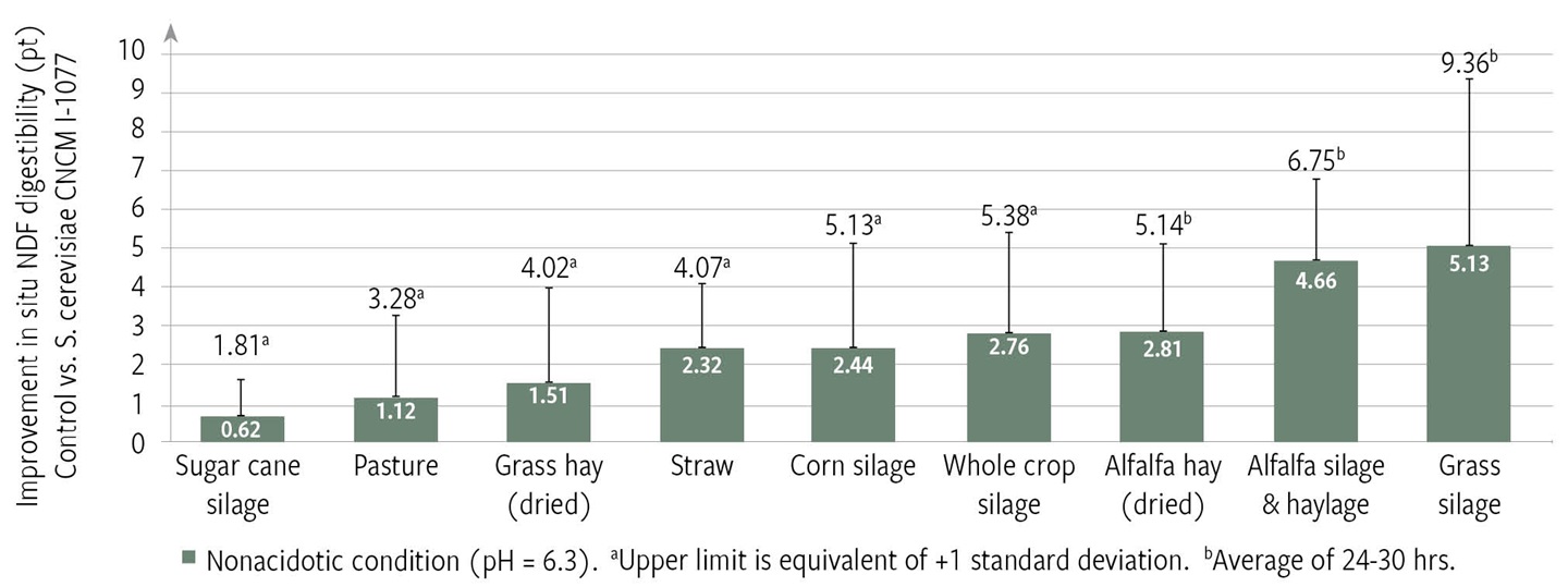 Fig. 1: Yeast probiotic (S. cerevisiae CNCM I-1077) improves forage digestibility