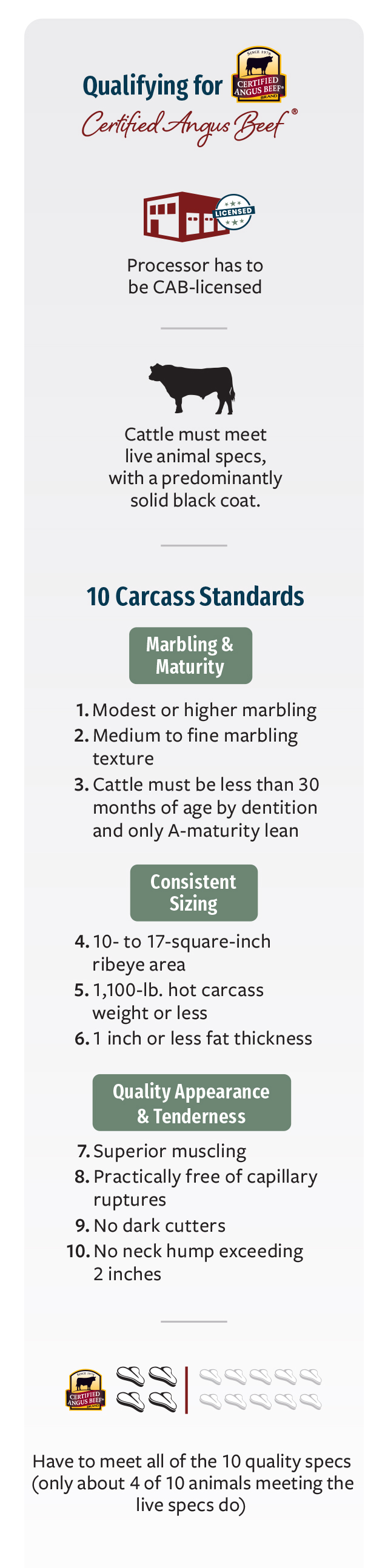 Qualifying for Certified Angus Beef