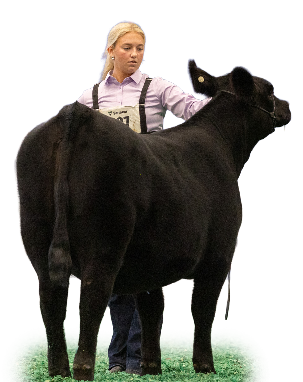 NJAS Herdsman 2026