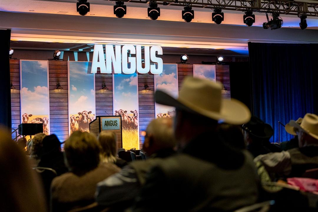 A gentlemen in a cowboy hat looks onward towards the Angus Convention stage.