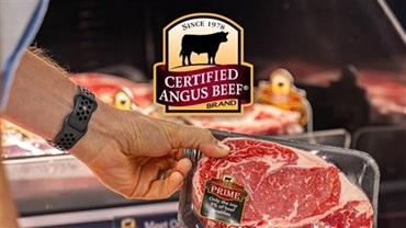 An individual picking up a Certified Angus Beef prime ribeye in the grocery store.