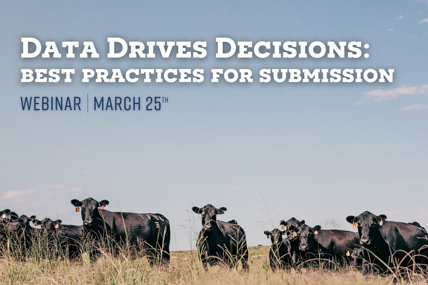 March 2025 Angus University Webinar: Data Drives Decisions: Best Practices for Submission
