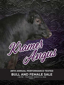 Kramer Angus Sale Book Cover