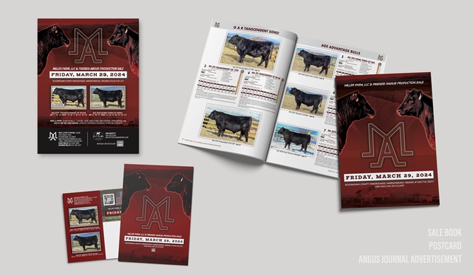 Miller Farm Integrated Marketing Materials Designed by Angus Media