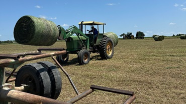 tractor with hay