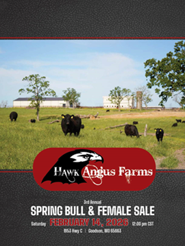 Hawk Sale Book Cover