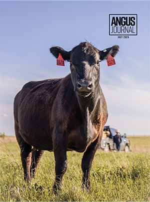 Angus Journal