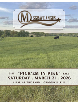 Musgrave Angus Sale Book Cover