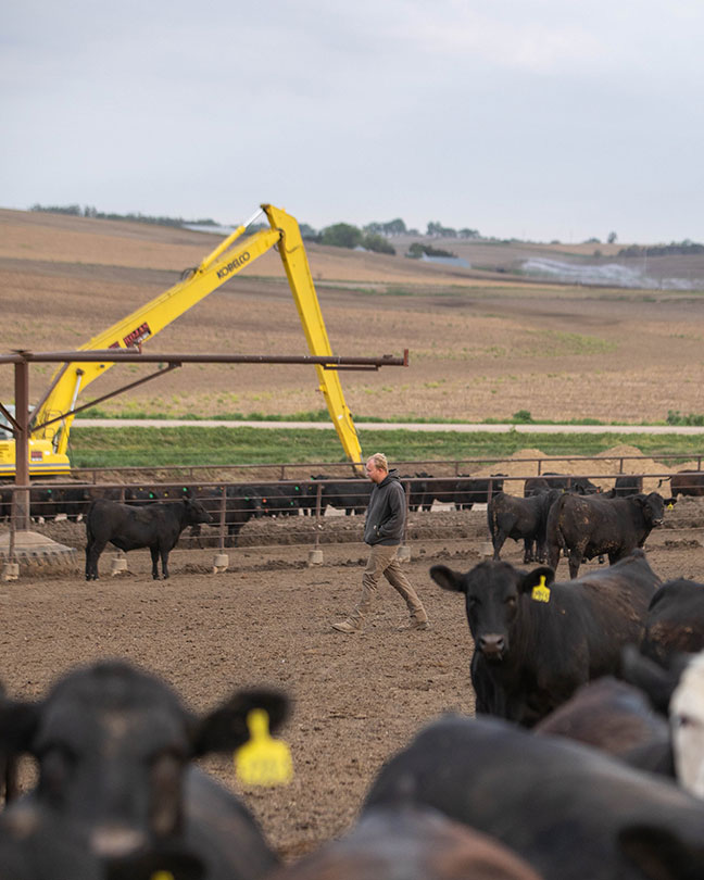 Twice-daily pen checks, completed on foot, are a cornerstone of Beller Feedlot’s cattle care program.  