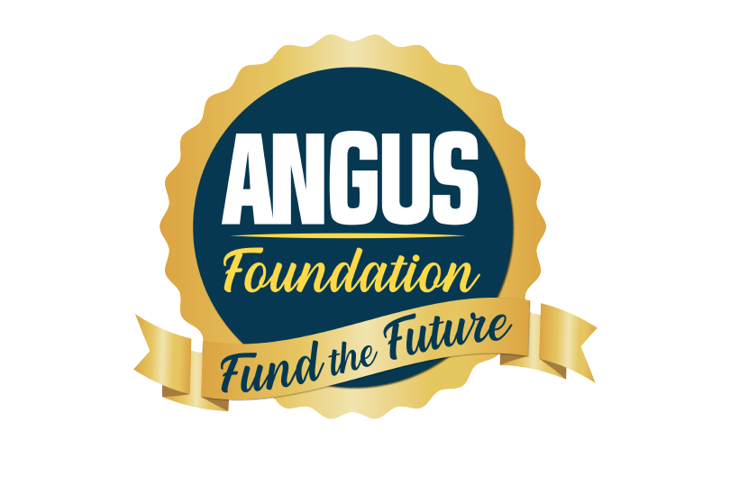 Fund the Future Logo