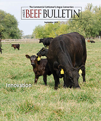 September 2025 cover 