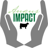 Angus Impact logo