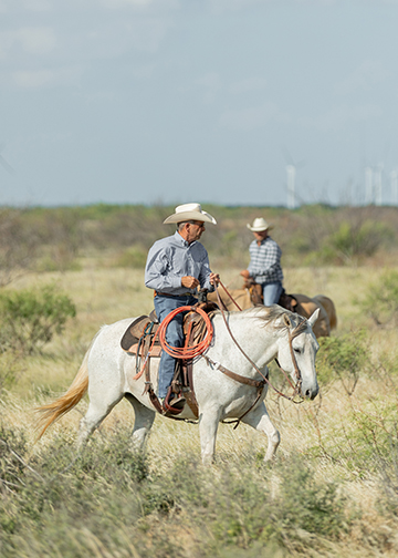“We’re looking for good cattle. We’re looking for good people as much. I want the guy that does care about what happens to them in that chain,” Bailey Ballou says.