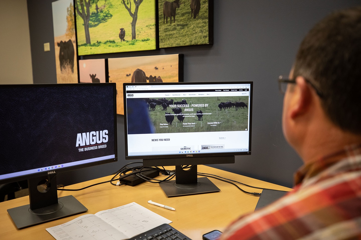 Person using Angus website