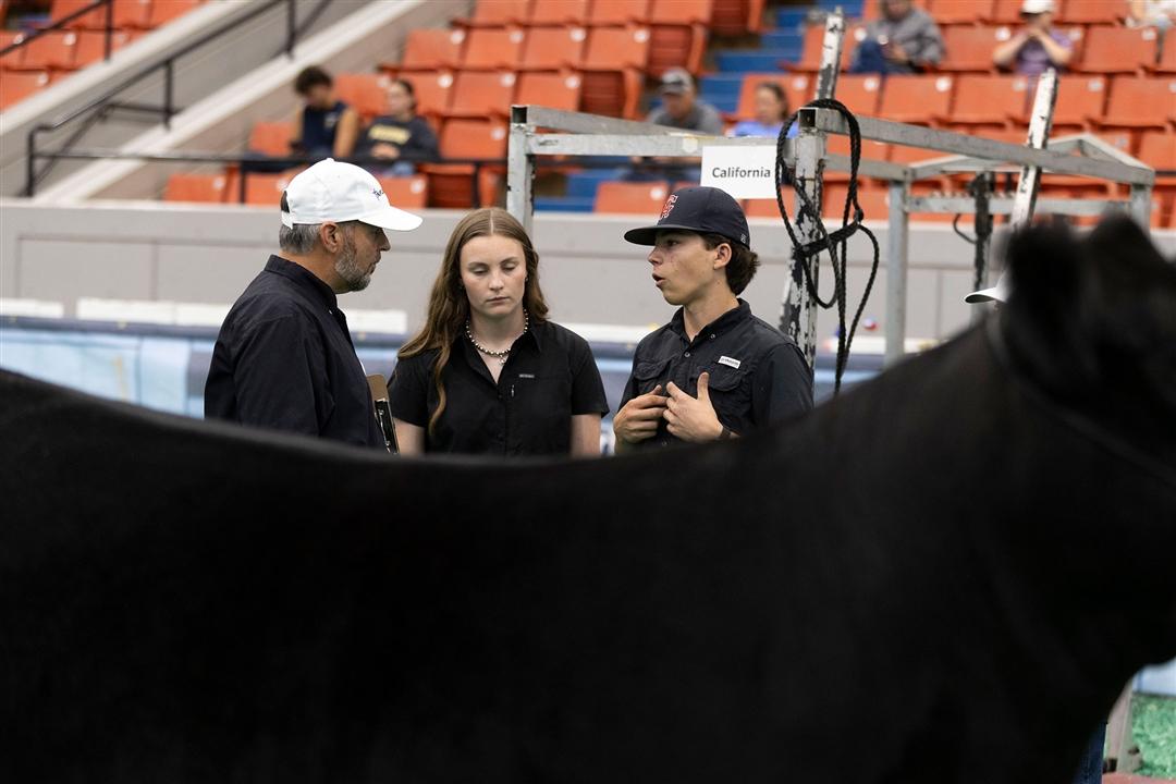 Lane Toledo, Visalia, Calif., talks with the Fitting Contest judge and teammate Caillee Flood during the 2026 National Junior Angus Show.