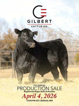 Gilbert Cattle Co Sale Book Cover