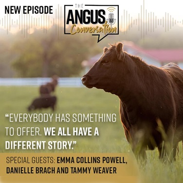 The Angus Conversation