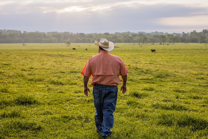 Jonathan Perry walking in his pasture