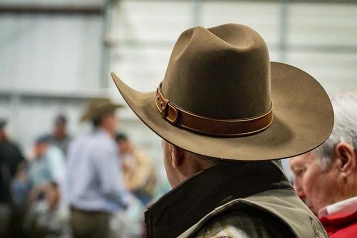 Cowboy hat