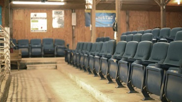 Chairs at a livestock auction market.