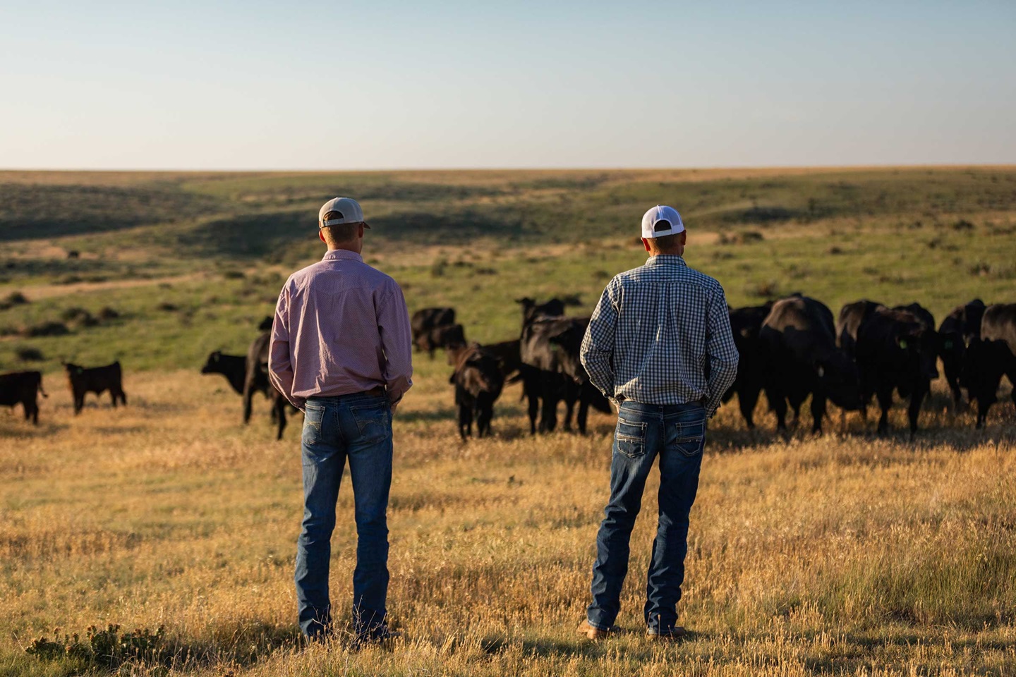 Quintin Walt is following his dad’s footsteps and plans on returning to the ranch. His dream for the ranch is to expand the grow yard because of his interest in cattle feeding.