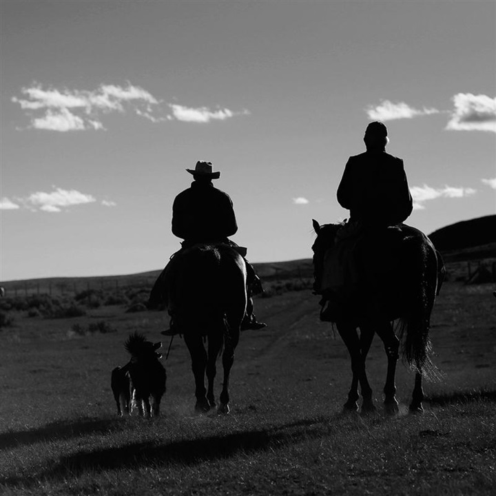 A group of cowboys of different ages and their dogs walking through a vast pasture.