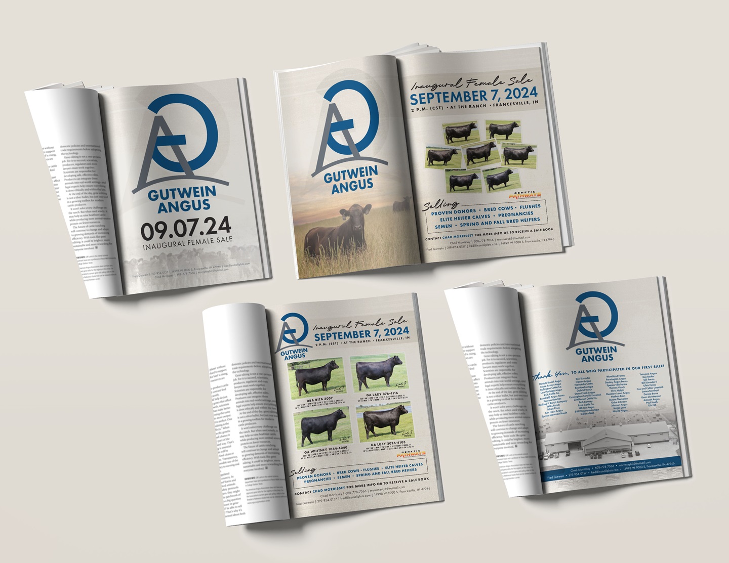 Gutwein Angus Ad Campaign Mockup