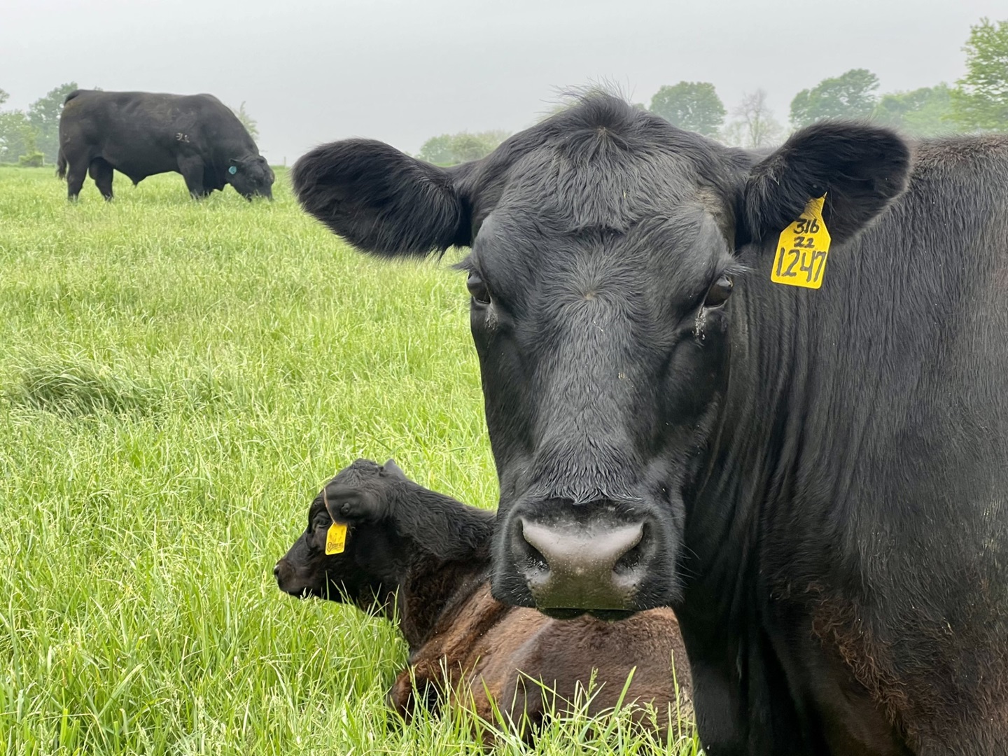 C539238B-716B-4B15-BCEF-61EEE28BF1C9