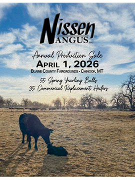 Nissen Angus