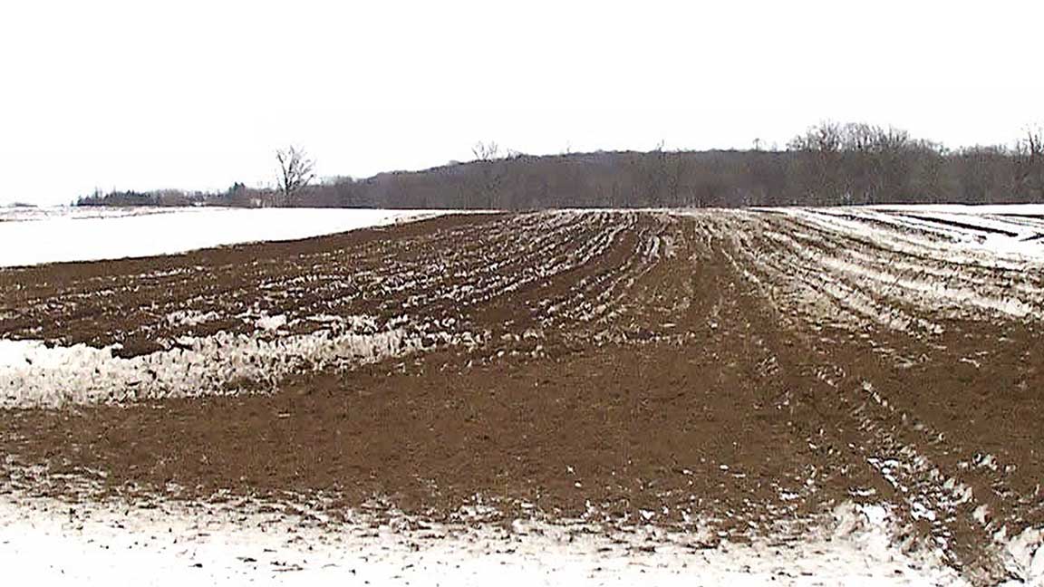 manure_on_snowcovered_ground