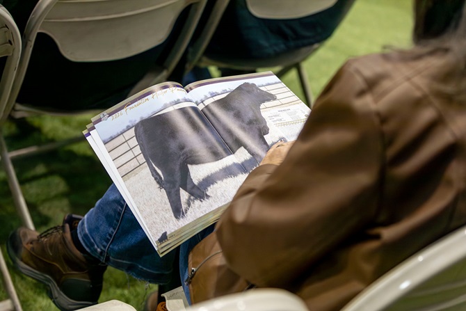 A potential buyer examines the lot listing for Wilks Rita in his salebook program at the 2026 Angus Foundation Heifer Package sale.
