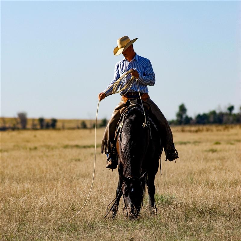 A cowboy resetting his rope while riding his horse.