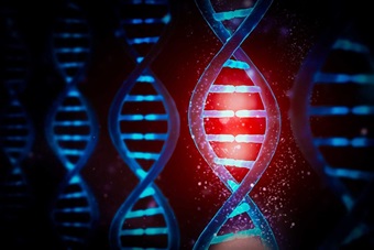 An artistic visual displaying a DNA strand.