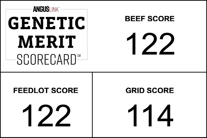 Genetic Merit Scorecard Example