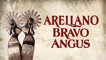 Arellano Bravo Angus