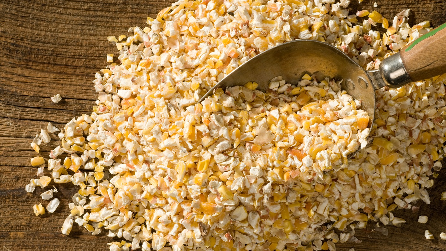 cracked corn