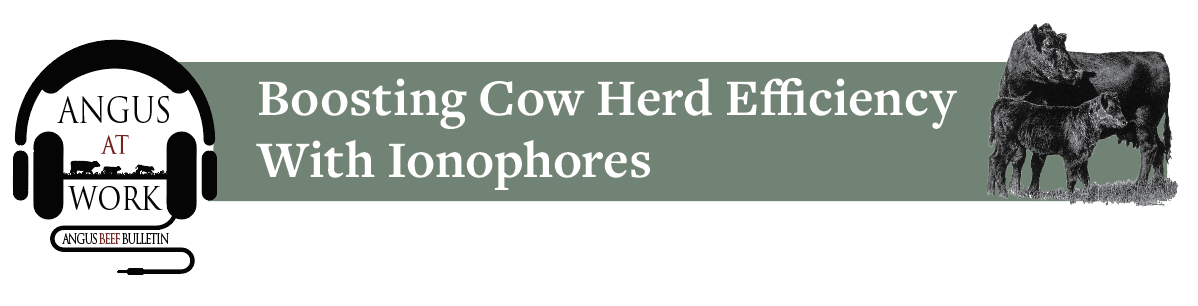 Boosting Cow Herd Efficiency With Ionophores