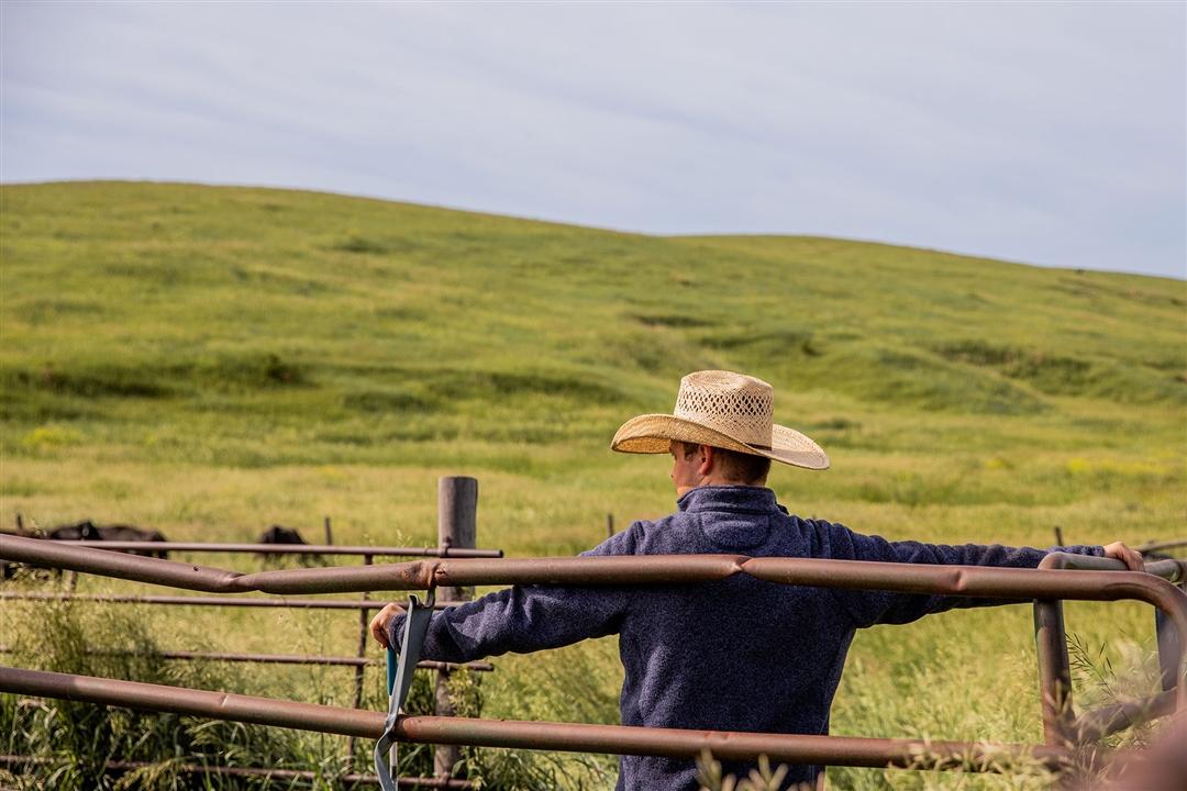 Young man in a cowboy had leaning on a fence in a pasture.
