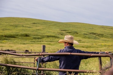 Young man in a cowboy had leaning on a fence in a pasture.