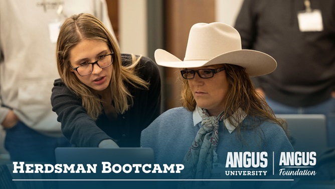 Two participants collaborate at a laptop during an Angus University Herdsman Bootcamp training session.