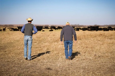 Two men walking in a pasture.