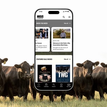 The new Angus Mobile App features sleek design and functionality for users.
