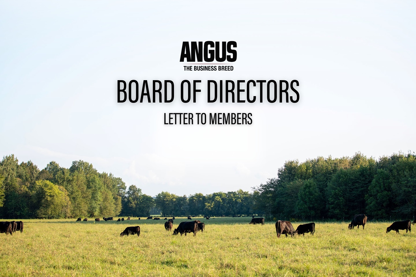 June 2025 Board of Directors Update