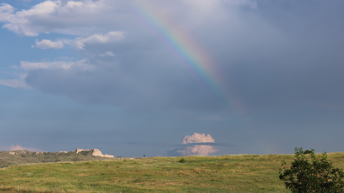 Managing risk means planning for the worst and hoping for the best. [Photo by Maria Tibbetts, UNL Beef communications specialist.]